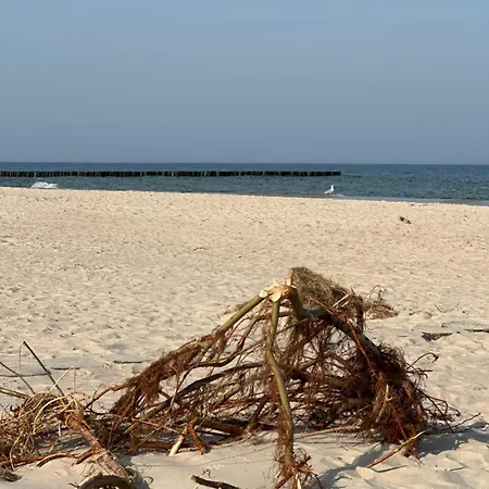 Lägenhet Blue Z Widokiem Na Morze