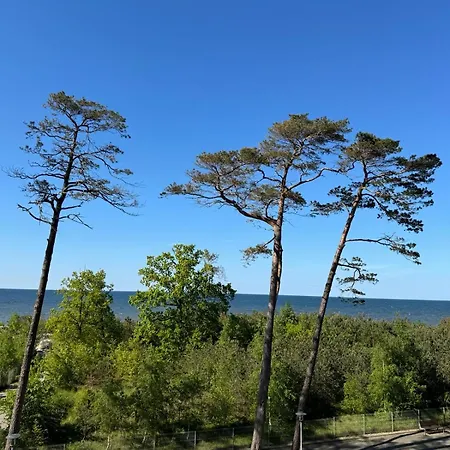 Blue Z Widokiem Na Morze *