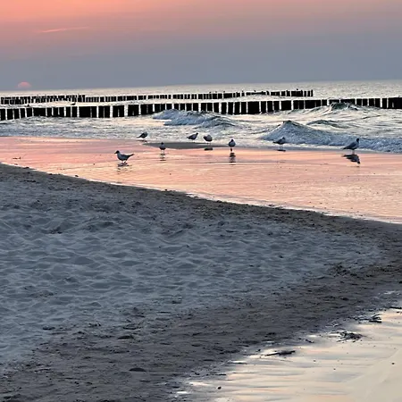 Blue Z Widokiem Na Morze * דז'יבנובק
