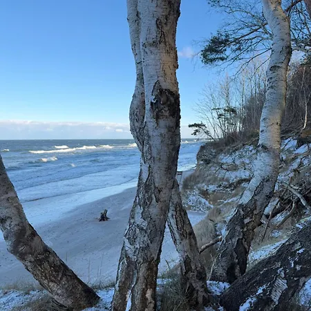 Blue Z Widokiem Na Morze