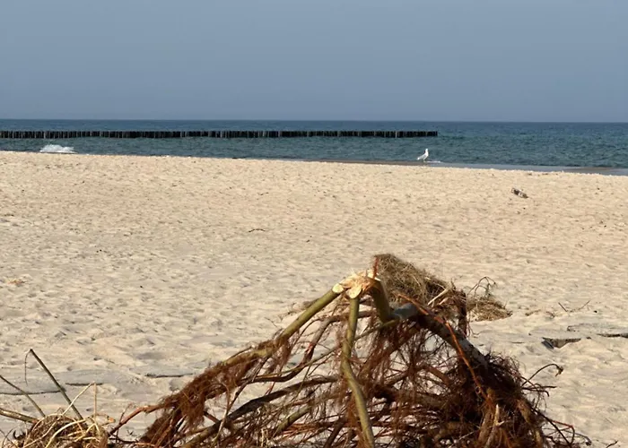 Apartmán Blue Z Widokiem Na Morze