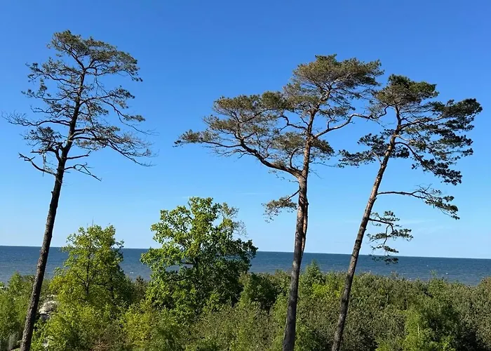 Blue Z Widokiem Na Morze *