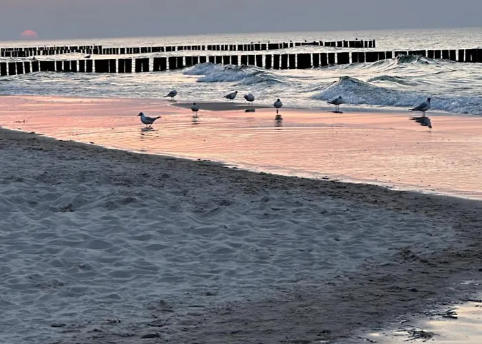 Blue Z Widokiem Na Morze * Dziwnówek