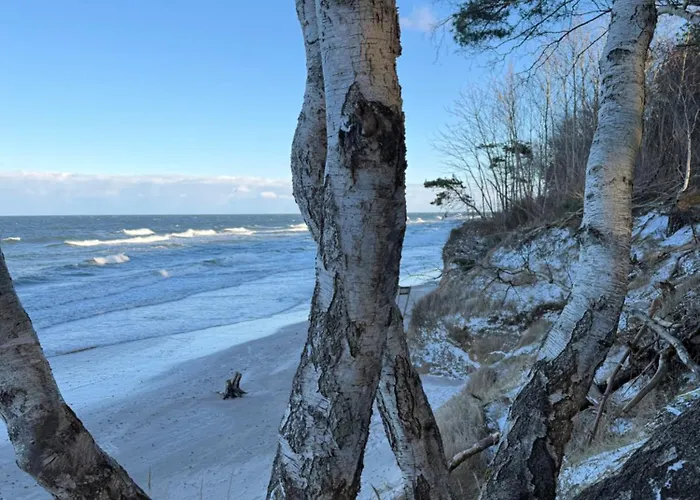 Blue Z Widokiem Na Morze